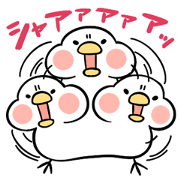 Bird and hamster