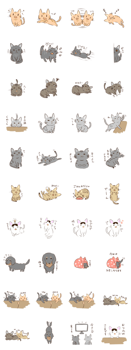 Funny cats and dogs