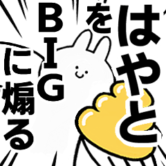 BIG Rabbits feediing [Hayato]