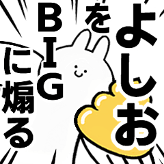 BIG Rabbits feeding [Yoshio]