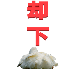 two Chinese characters From duck-BIG