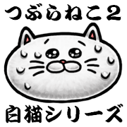 TSUBURANEKO WHITE CAT