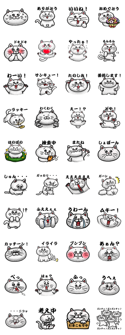 TSUBURANEKO WHITE CAT