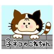 "konechan" of kitten