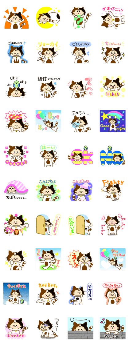 "konechan" of kitten