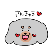 poko-chan 2 (A miniature dachshund)