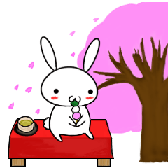 so cute rabbit usakichi.3