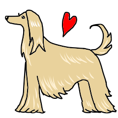 Dog stamp Afghan hound
