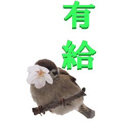 two Chinese characters From Sparrow2-BIG