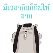 Bears Fake