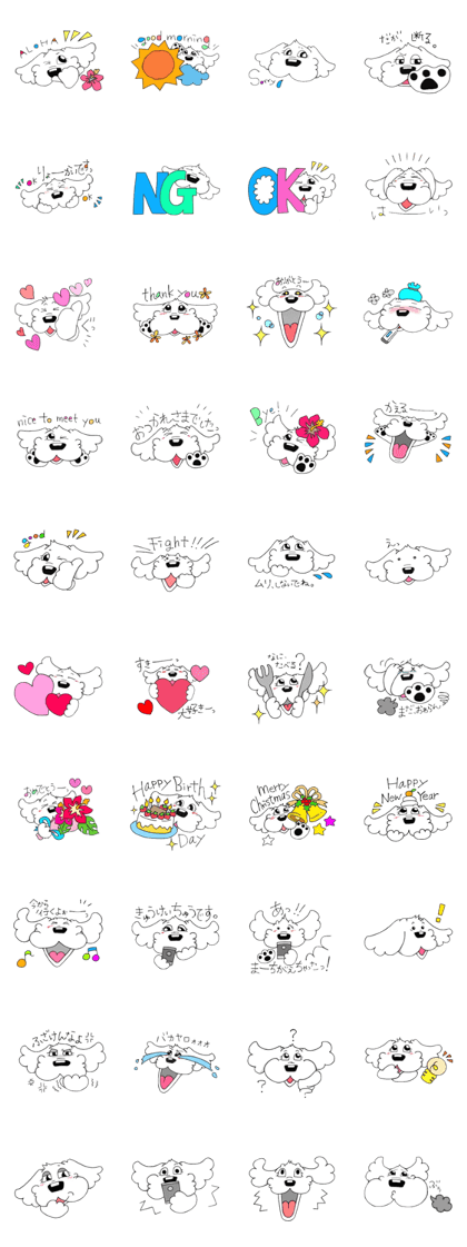 The dog Maltipoo