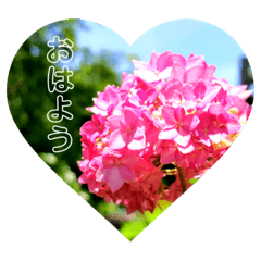 fuwa_20200716225449