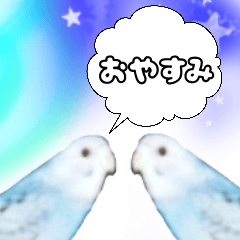 Greeting of cute parakeet 2