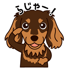 ミニチュアダックス チョコタン Line スタンプ Line Store ミニチュアダックス チョコタン Line スタンプ Line Store