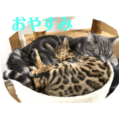 Rina_20200716232742