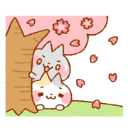 Spring of Pikapika and Pokapoka