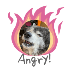 arisa_20200717000201