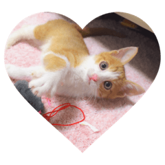 Natsumi_20200717050816