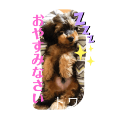 yayoi_20200716213516