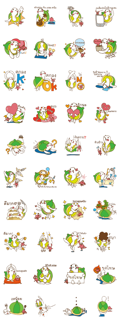Every day of the turtle.