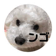 wanwanko_20200717151030