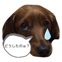 Asuka_20200717072705