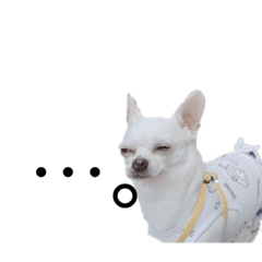 NANAMI_20200717111551