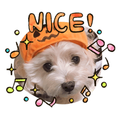 yukari_20200717112928