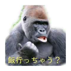 RINGO_20200717180345