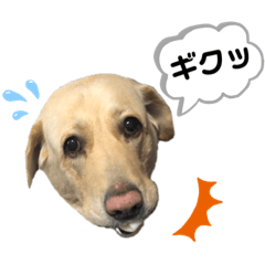 sayumi_20200717192959