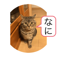 syo_20200717220639