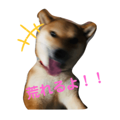 aporo.kai.rin