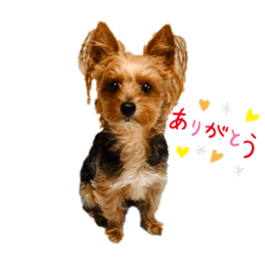 hayato_20200718005445