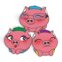 3 Piggy Back Pack