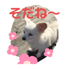 sayuri_20200718071323