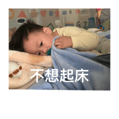 屁愷表情包