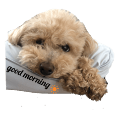 yuina_20200717162524