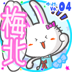 Rabbit's name sticker MY180720N22