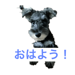 yuto_20200717211312