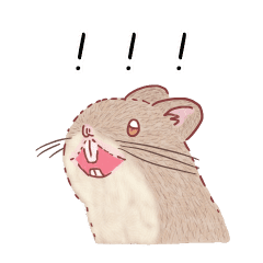 Degu Illust Line Stickers Line Store