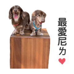 哈囉！查理主席！