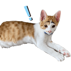 haruna_20200718124636