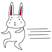 Animals life