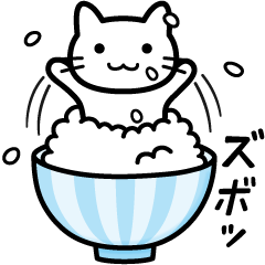 Rice Rice cat