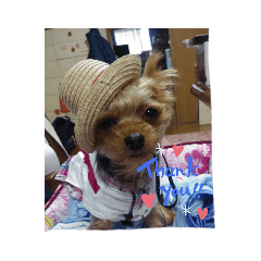 natsumi_20200717165331