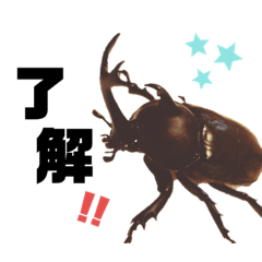 ayumi_20200718144729