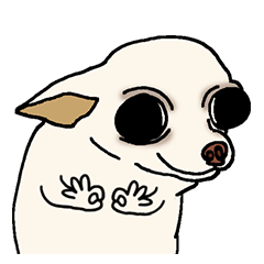 Chihuahuas are good family pets 6