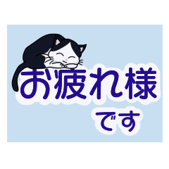 The Dekamoji stickers and cat
