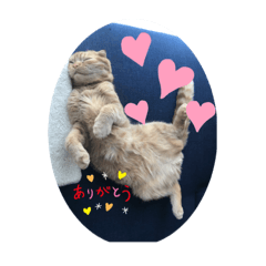 mochi_20200717223428