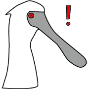 Black faced Spoonbill